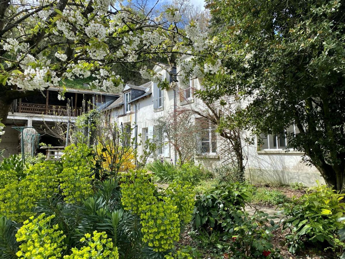 Villa Gite Renove Avec Piscine Au Coeur De Vendôme Exterior foto